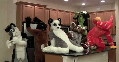 Free Furry Blowjob Porn Videos (653)